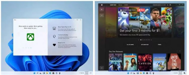 Windows 11